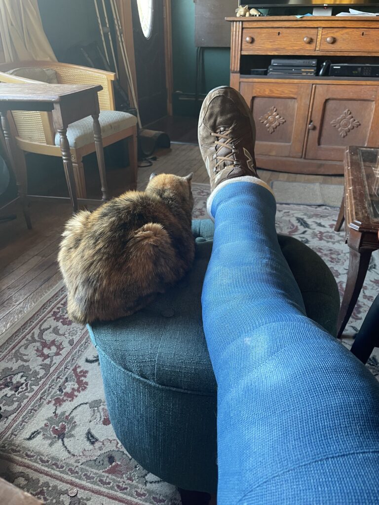 Picture of Cast and Cat